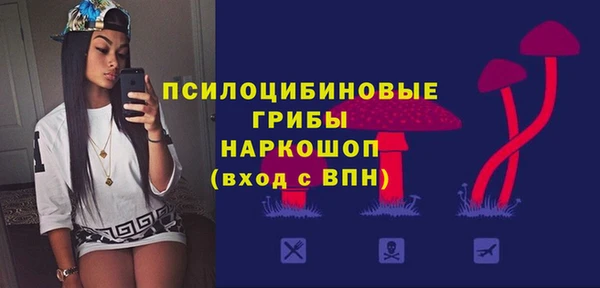 a pvp Алексин