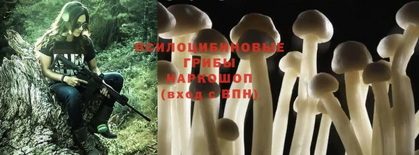 a pvp Алексин