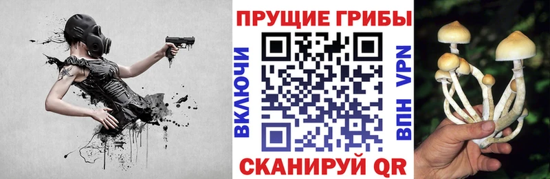 Псилоцибиновые грибы мицелий  Льгов 
